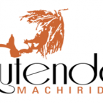 tendo logo