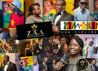 Elegance and Recognition at the Zimbabwe Achievers Awards (ZAA) 2014
