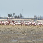 M namibia_9 (4)