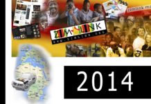 Zimlink 2014 flyer!