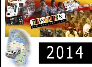 Zimlink 2014 flyer!