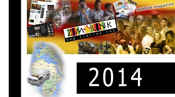 Zimlink 2014 flyer!